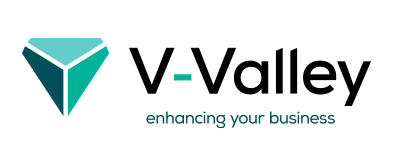 V-Valley Logo